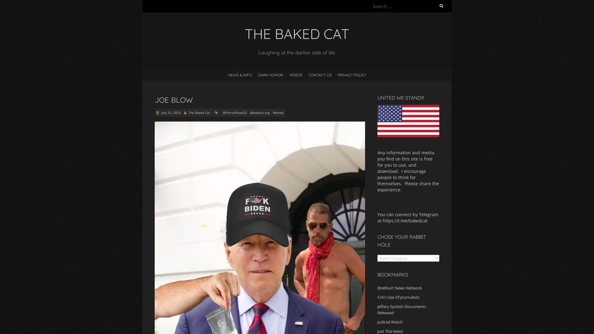 вебсайт bakedcat.org Є   ONLINE