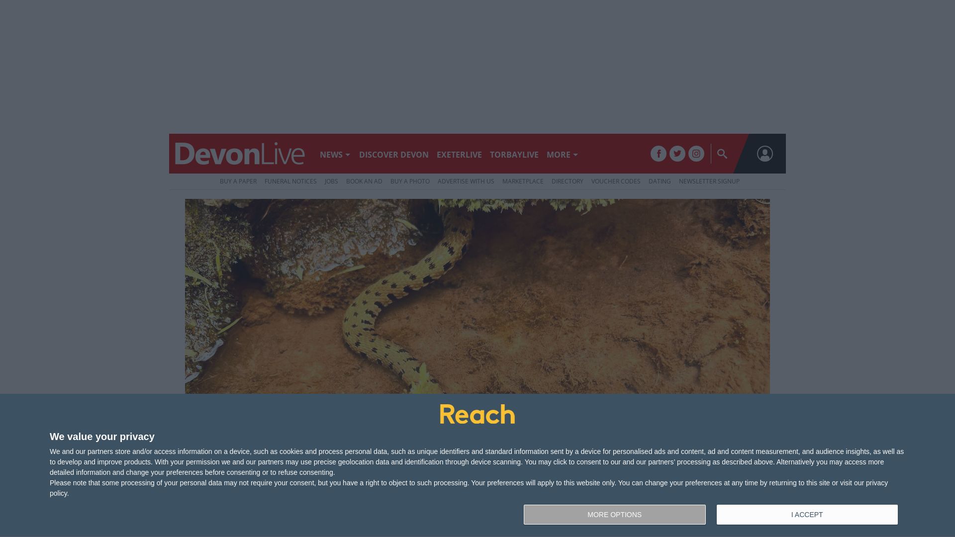вебсайт devonlive.com Є   ONLINE