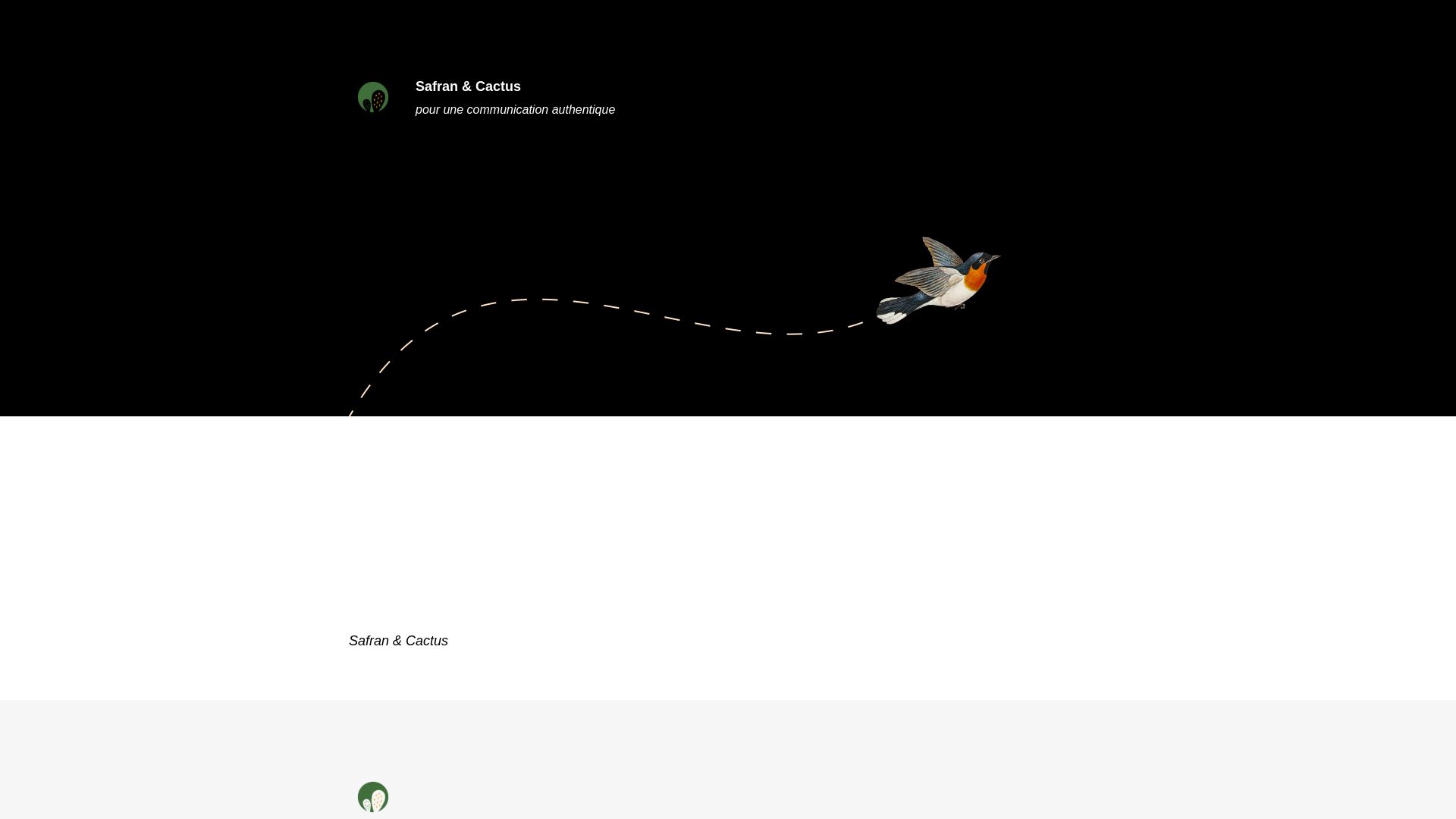 вебсайт safranetcactus.fr Є   ONLINE