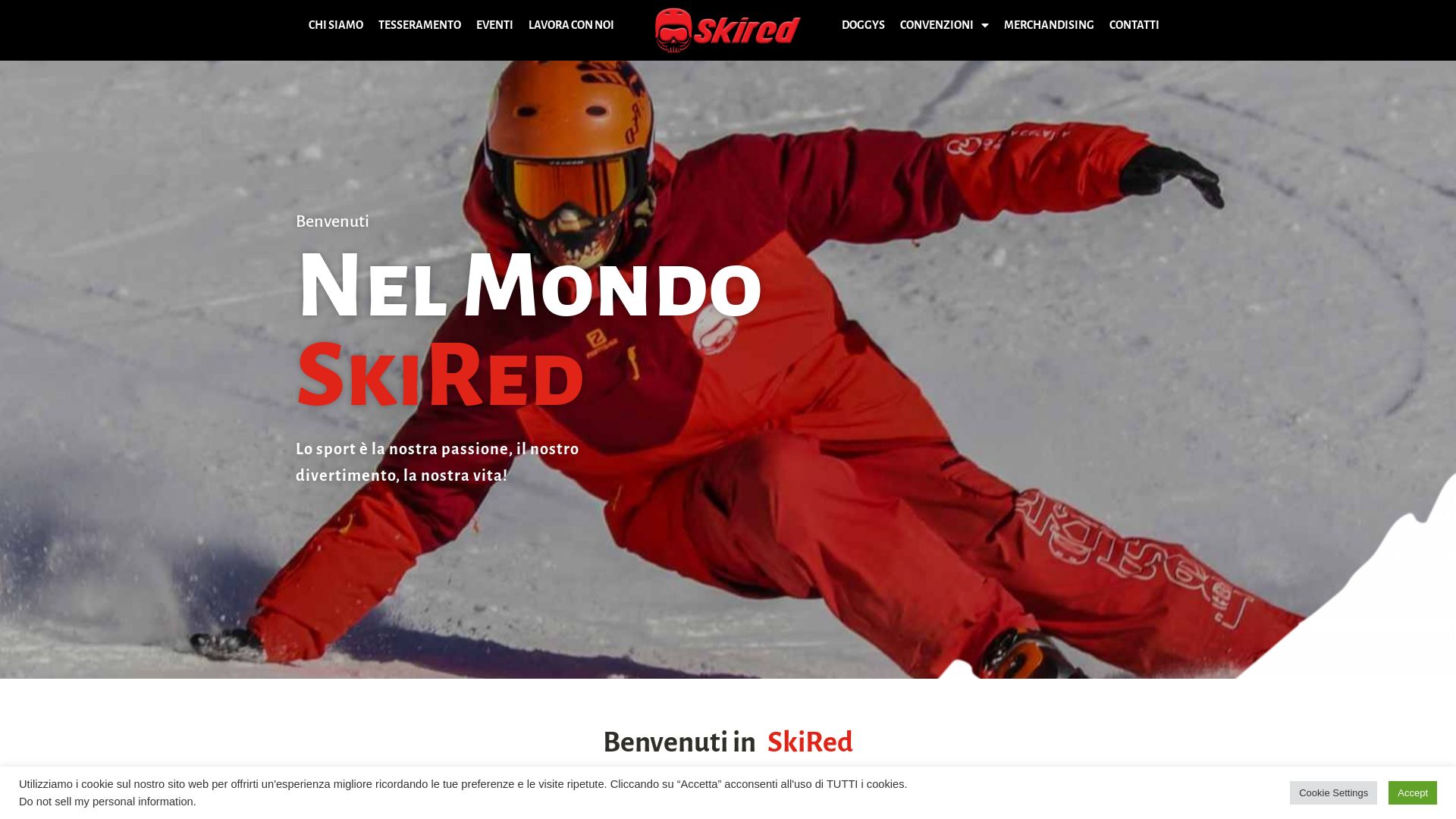 вебсайт skired.it Є   ONLINE
