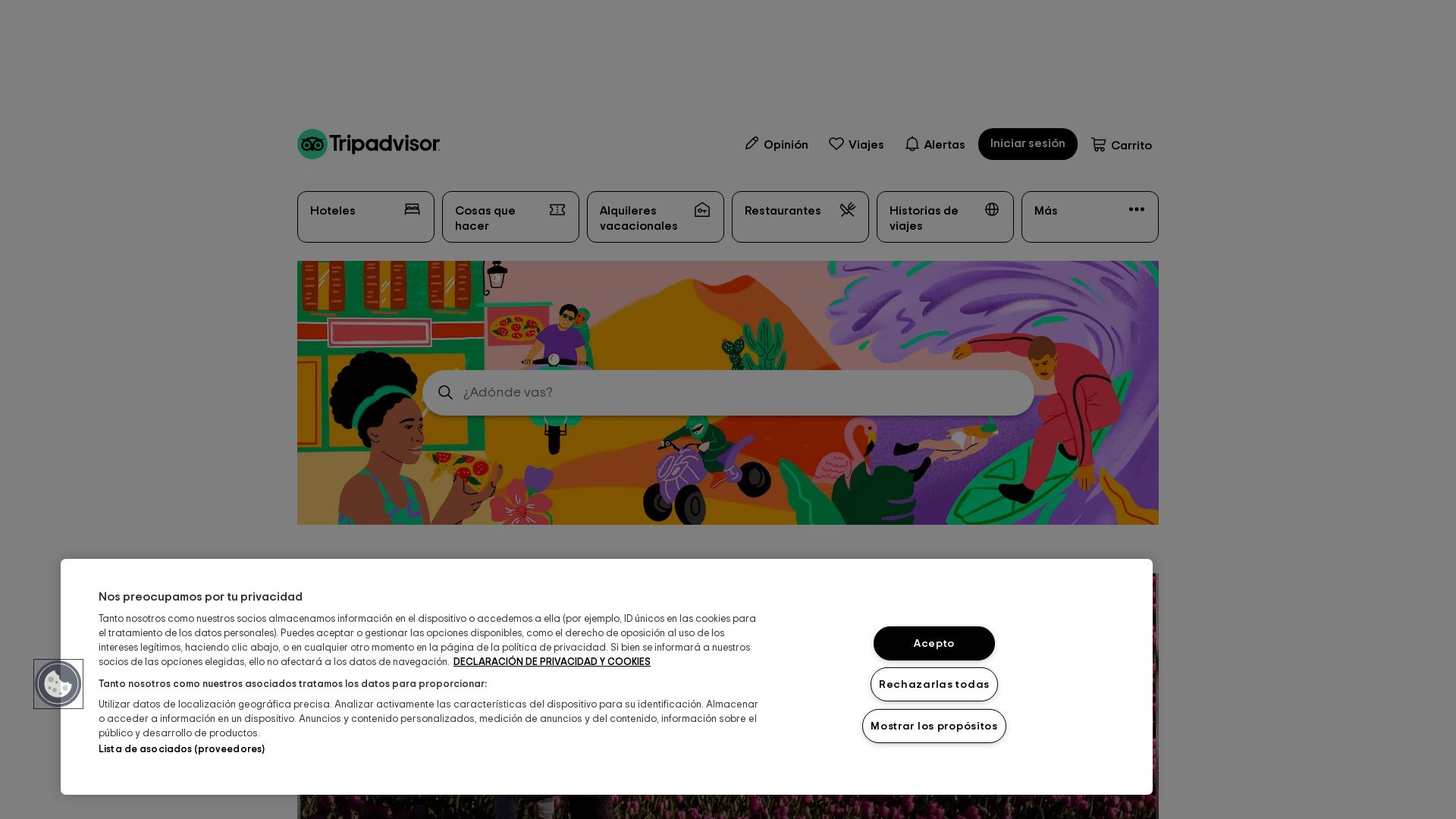 вебсайт tripadvisor.es Є   ONLINE